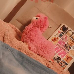 A set of clothes,book,and a lama plushy💖🥺✨🤪